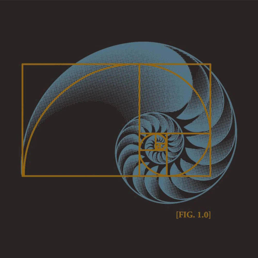 Math In Nature T-Shirt