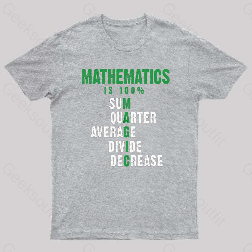 Mathematics Is 100% Magic Statistic Calculus Nerd T-Shirt Grey / S
