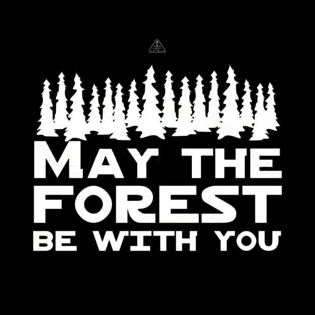 May the forest be with you T-Shirt - Geeksoutfit