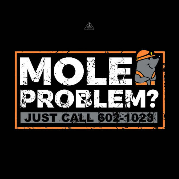 Mole Problems Just Call Avogadro Geek T-Shirt