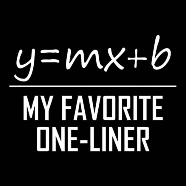 My Favorite One Liner Nerd T-Shirt