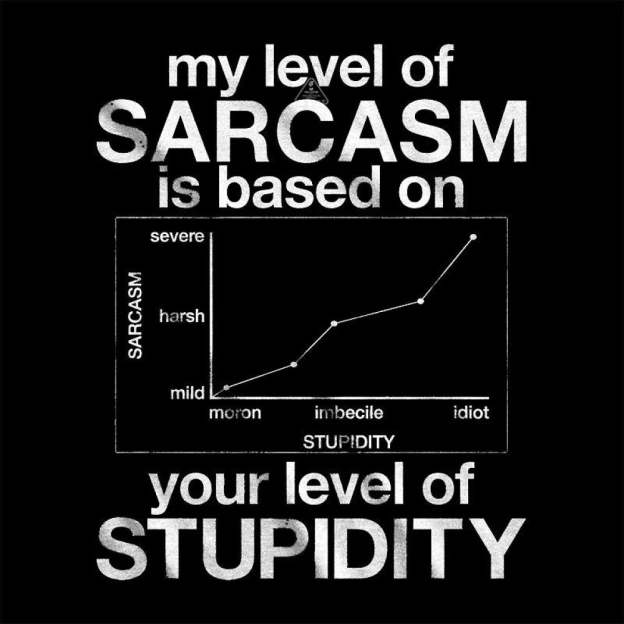 My Level Of Sarcasm Is Based On Your Stupidity T-Shirt
