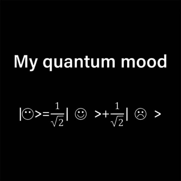 My Quantum Mood Geek T-Shirt