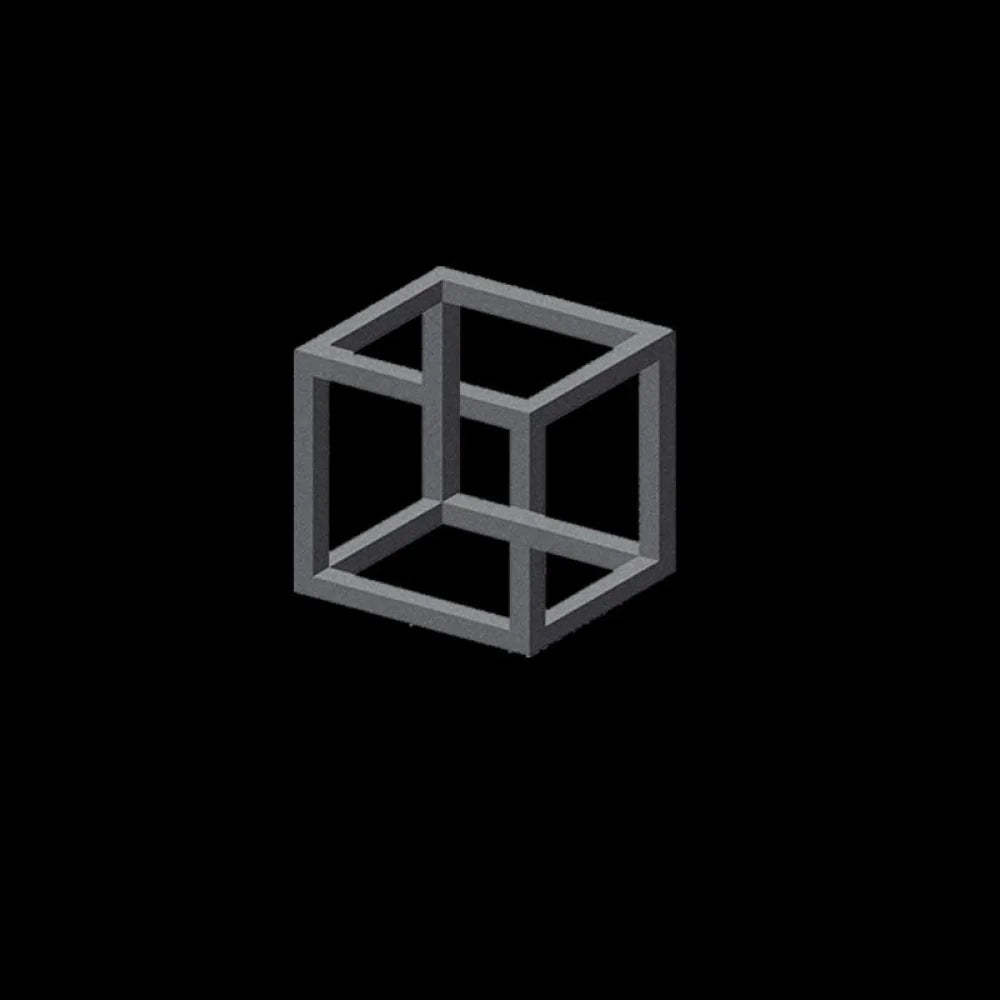 Necker Cube Illusion T-Shirt