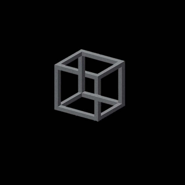 Necker Cube Illusion T-Shirt