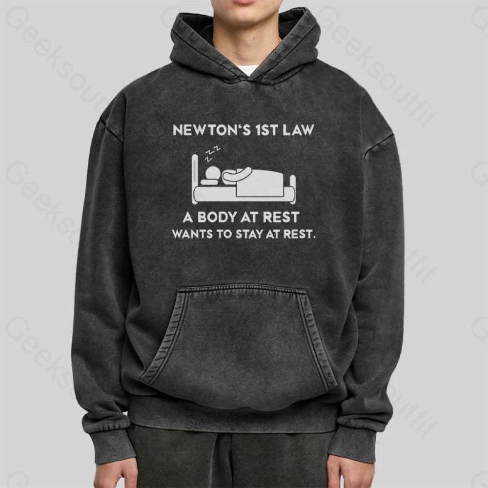 Newton¡¯s First Law Washed Hoodie