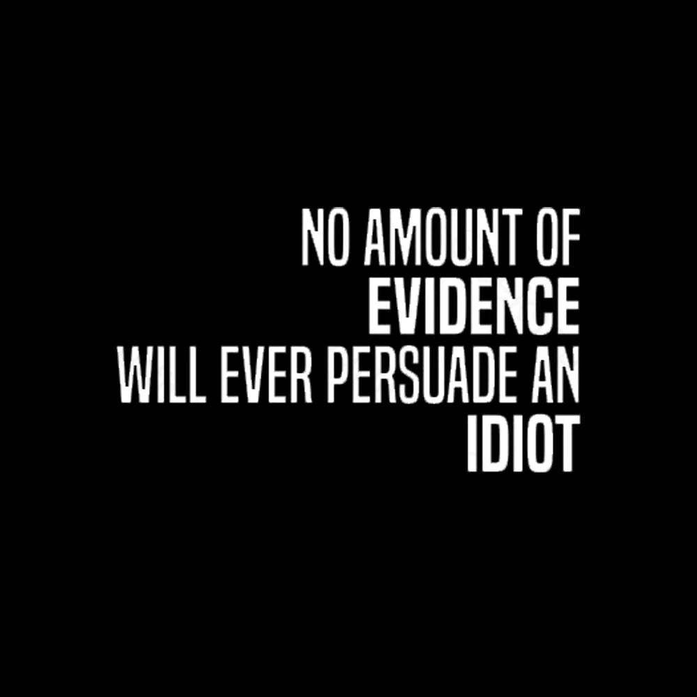 No Amount Of Evidence Will Ever Persuade An Idiot Nerd T-Shirt