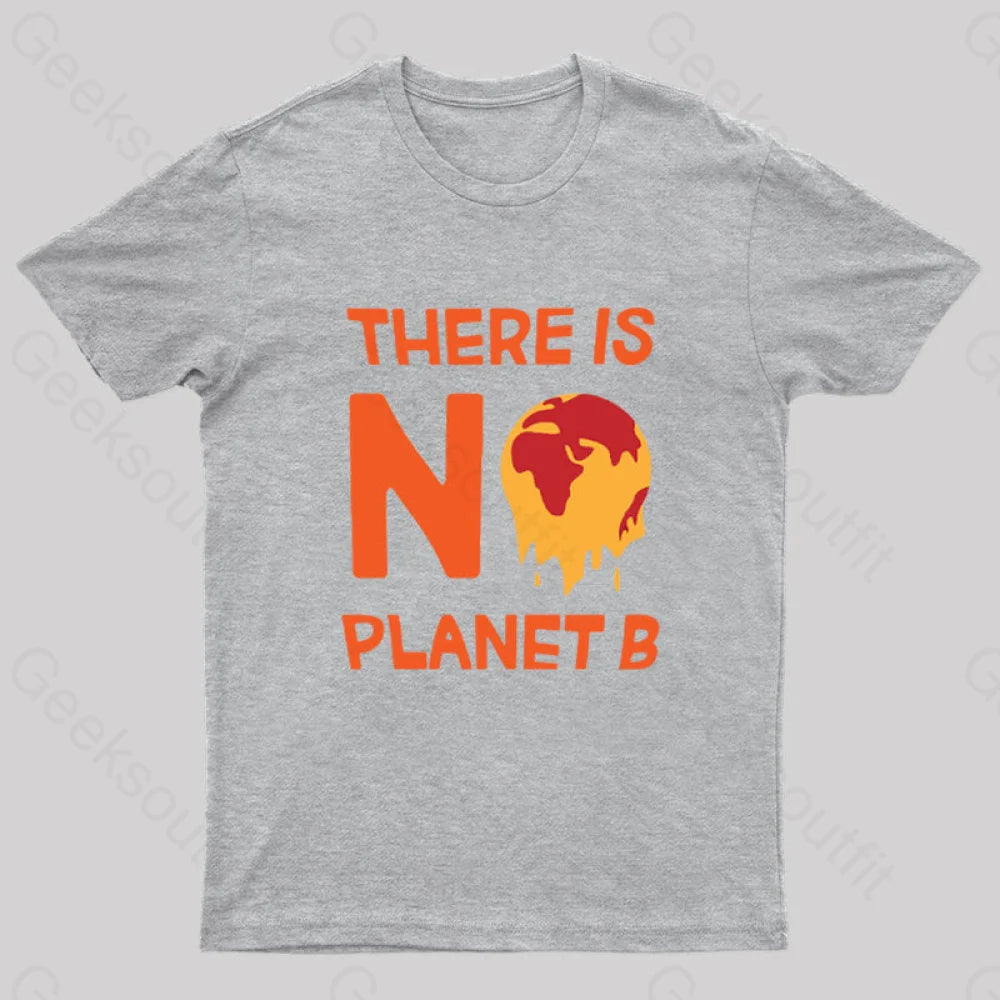 No Planet B T-Shirt Grey / S