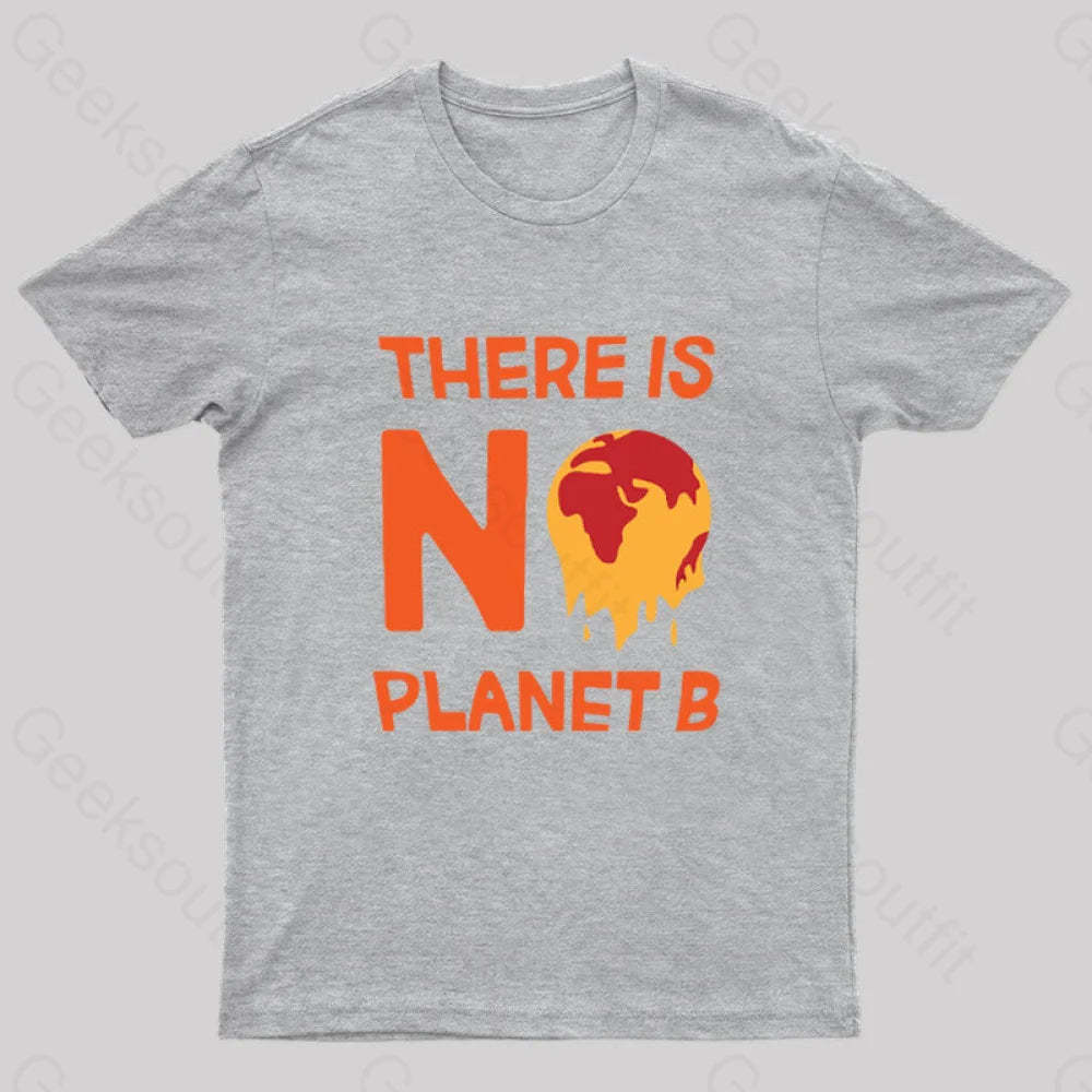 No Planet B T-Shirt Grey / S