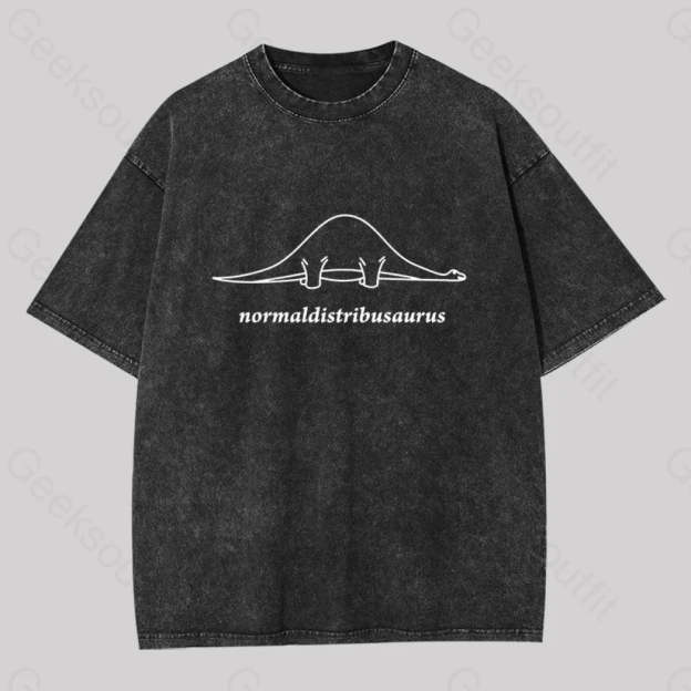 Normal Distribution Dinosaur Washed T-Shirt Black / S