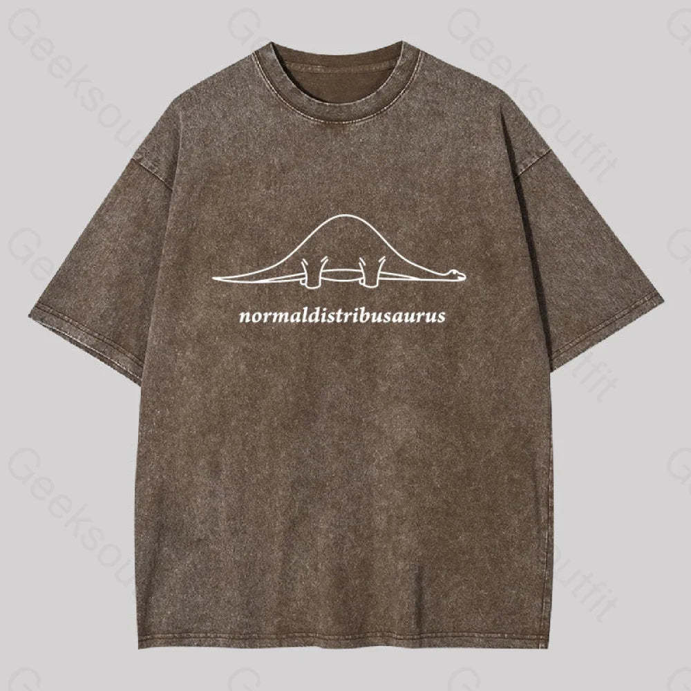 Normal Distribution Dinosaur Washed T-Shirt Coffee / S