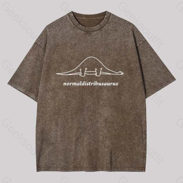Normal Distribution Dinosaur Washed T-Shirt Coffee / S