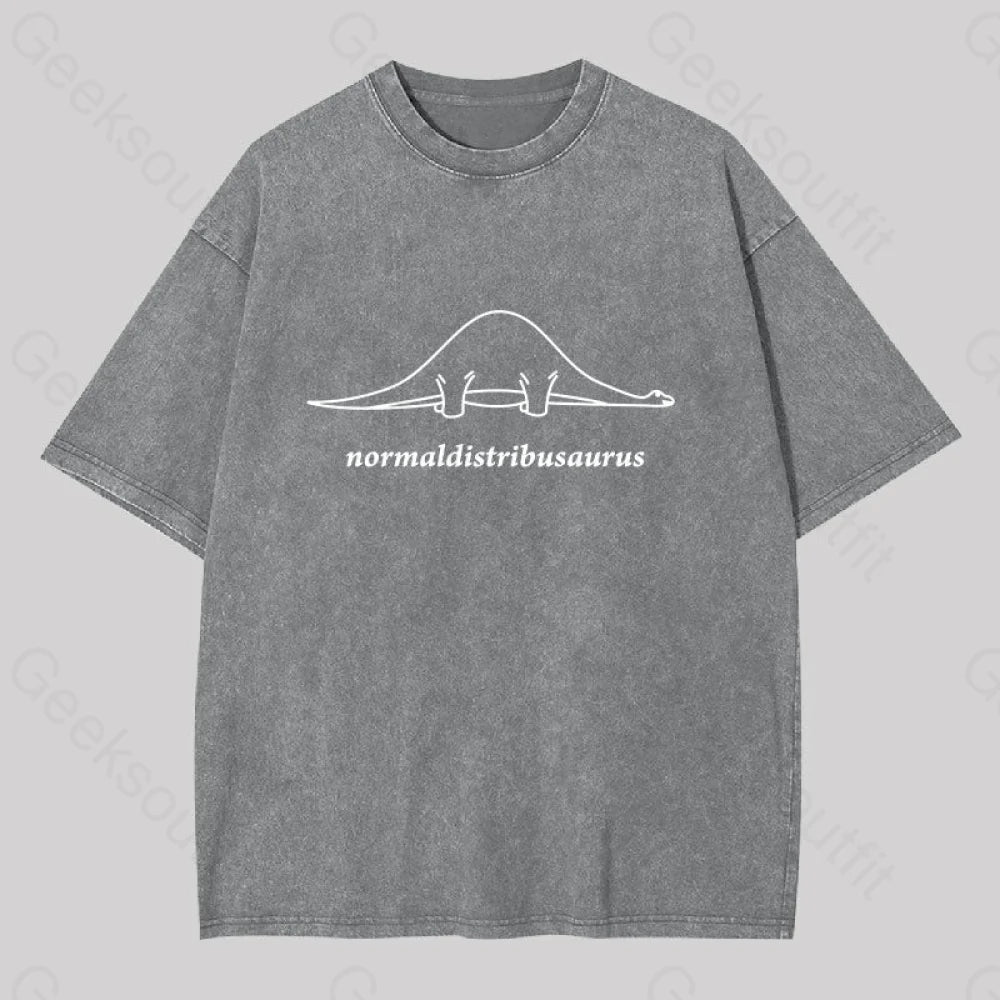 Normal Distribution Dinosaur Washed T-Shirt Grey / S