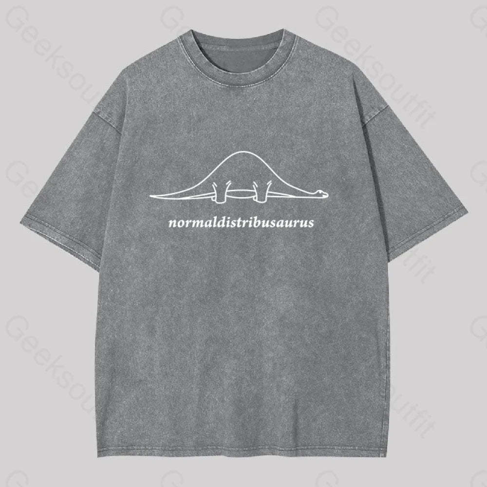 Normal Distribution Dinosaur Washed T-Shirt Grey / S