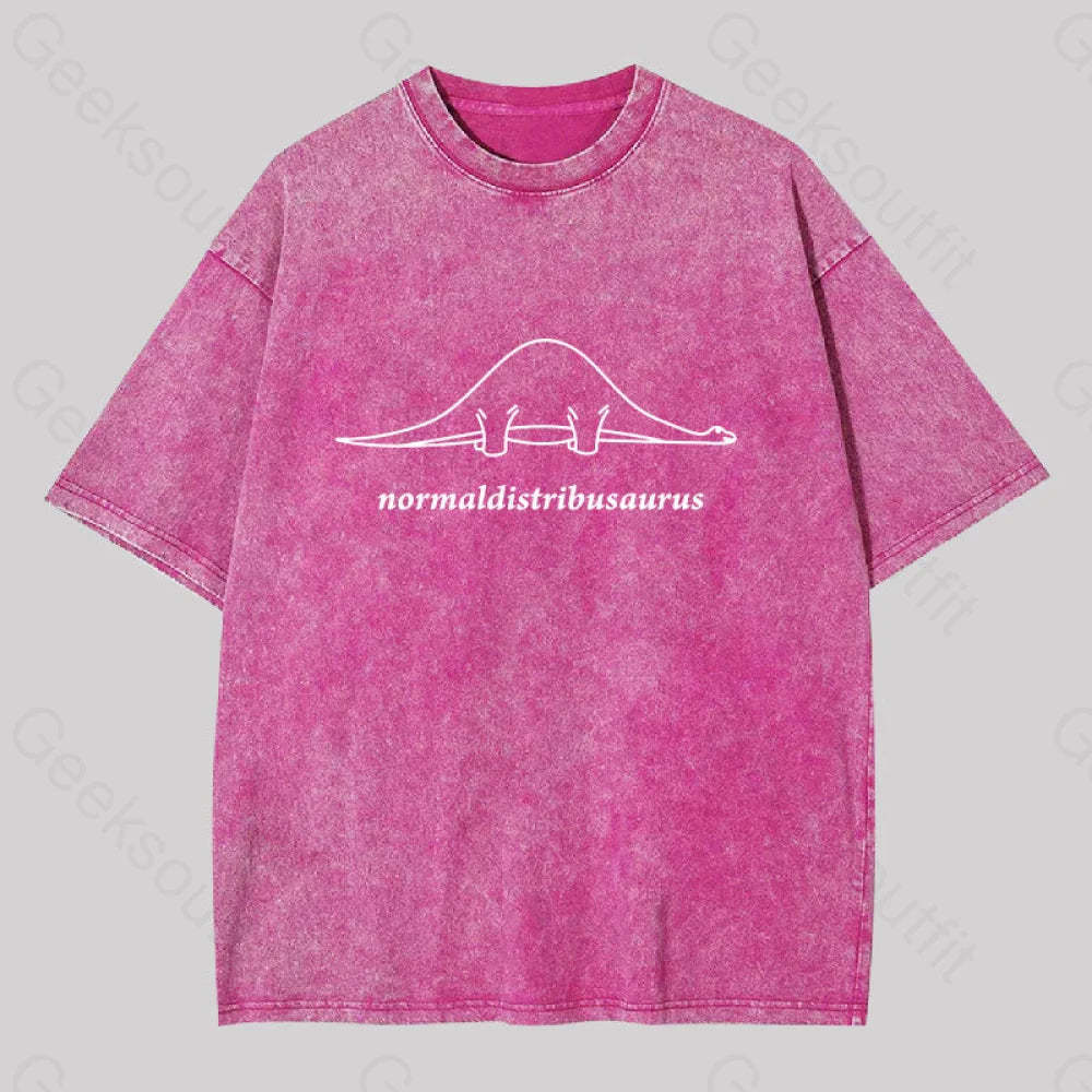 Normal Distribution Dinosaur Washed T-Shirt Rose Red / S