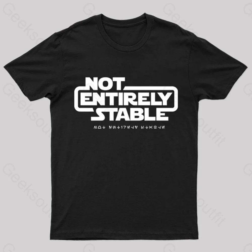 Not Entirely Stable Geek T-Shirt Black / S