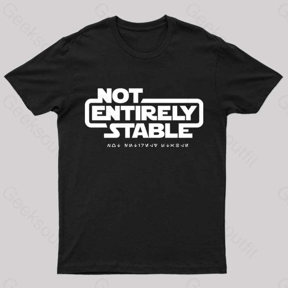 Not Entirely Stable Geek T-Shirt Black / S