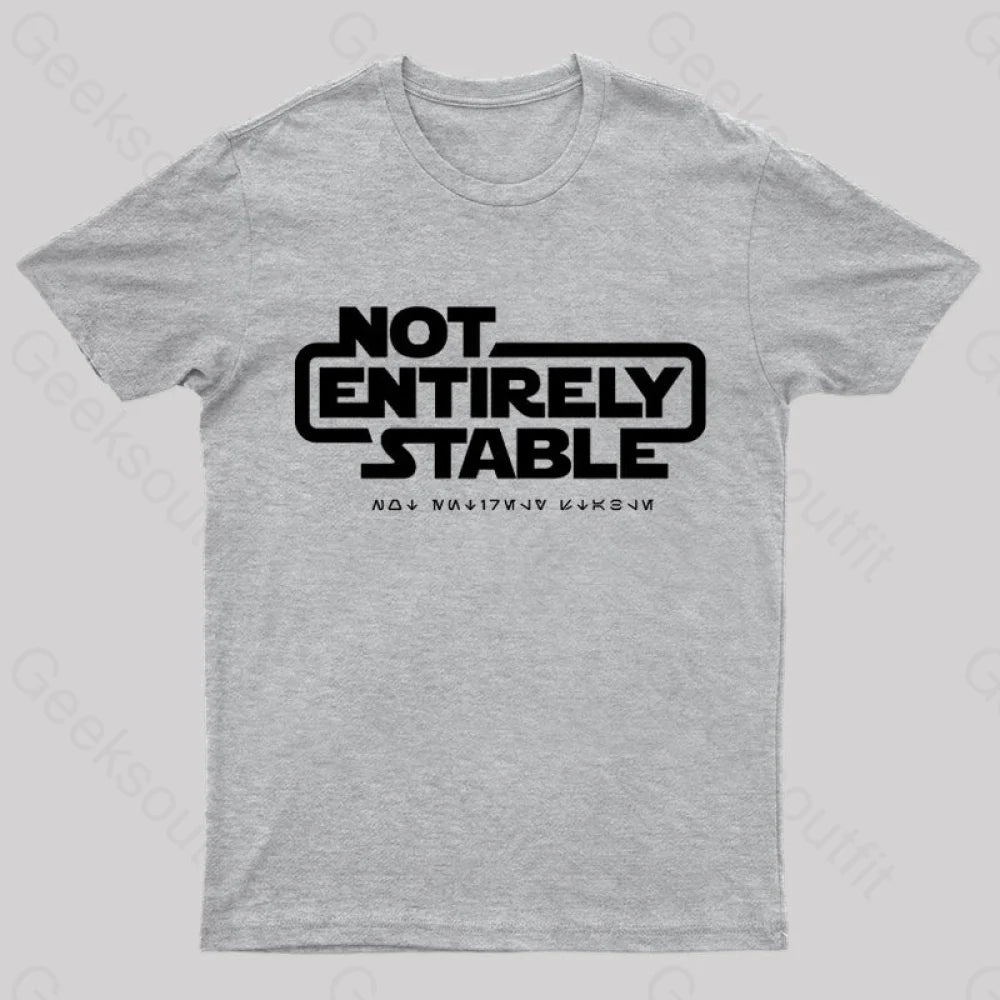 Not Entirely Stable Geek T-Shirt Grey / S