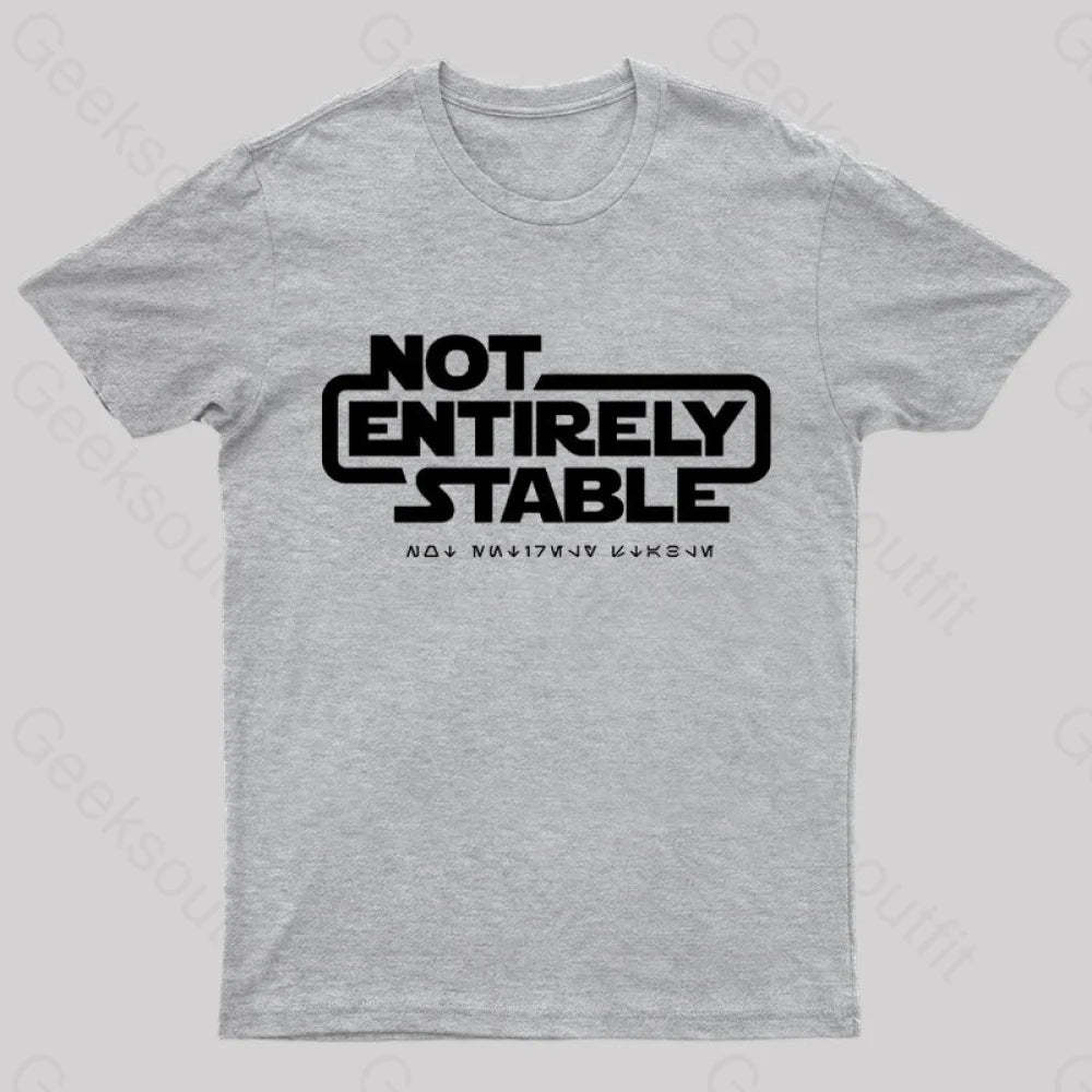 Not Entirely Stable Geek T-Shirt Grey / S