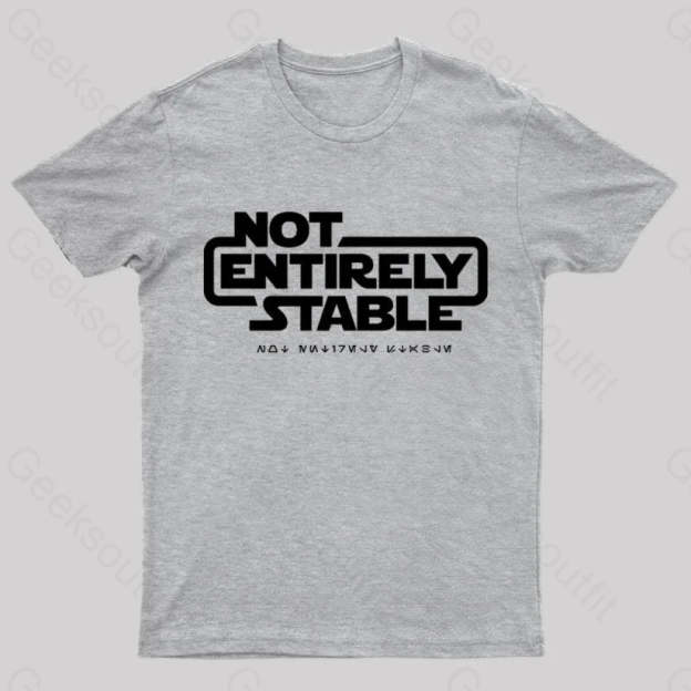 Not Entirely Stable Geek T-Shirt Grey / S