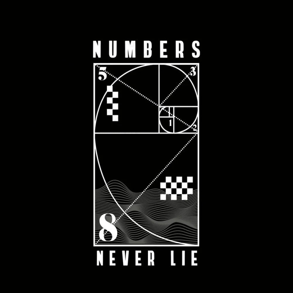Numbers Never Lie Nerd T-Shirt