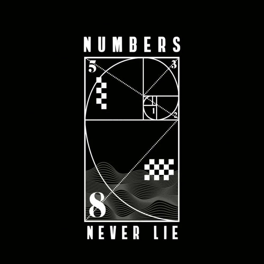 Numbers Never Lie Nerd T-Shirt