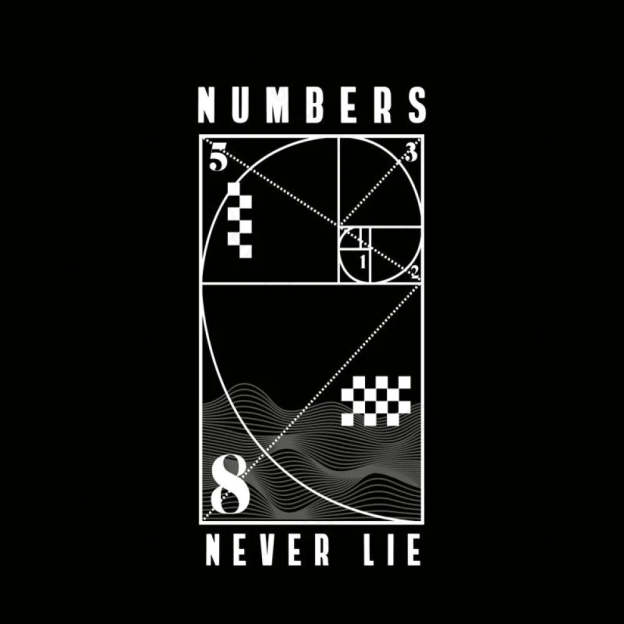 Numbers Never Lie Nerd T-Shirt