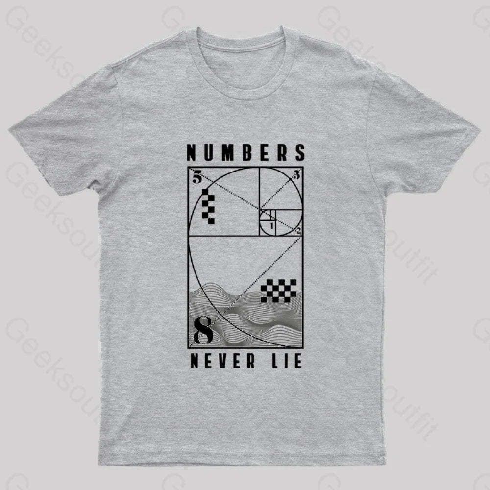 Numbers Never Lie Nerd T-Shirt Grey / S