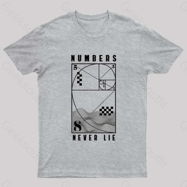 Numbers Never Lie Nerd T-Shirt Grey / S