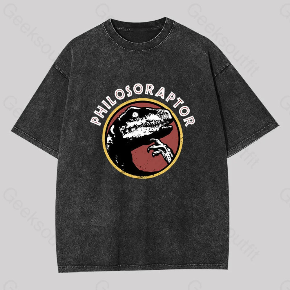 Philosoraptor Washed T-Shirt Black / S