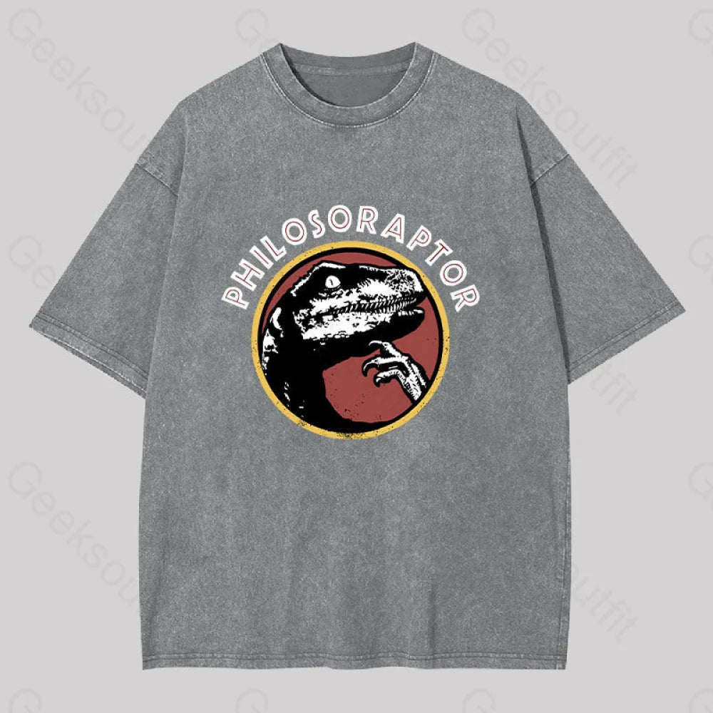 Philosoraptor Washed T-Shirt Grey / S