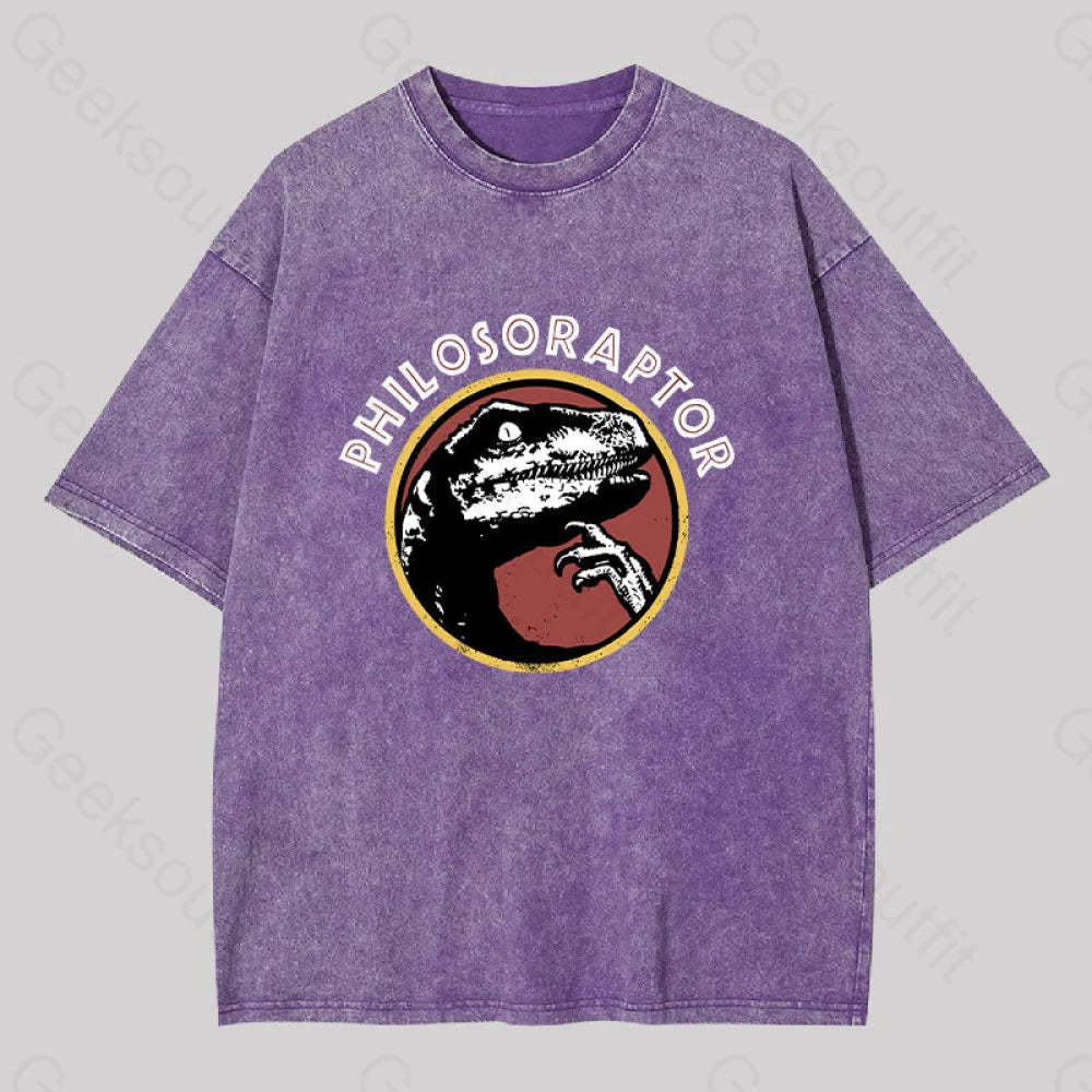 Philosoraptor Washed T-Shirt Purple / S