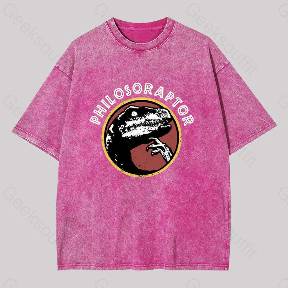 Philosoraptor Washed T-Shirt Rose Red / S