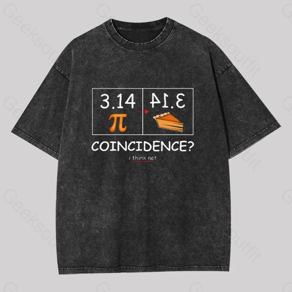 Pi Pie Math Professor Geek Washed T-Shirt Black / S
