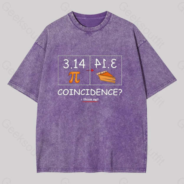 Pi Pie Math Professor Geek Washed T-Shirt Purple / S