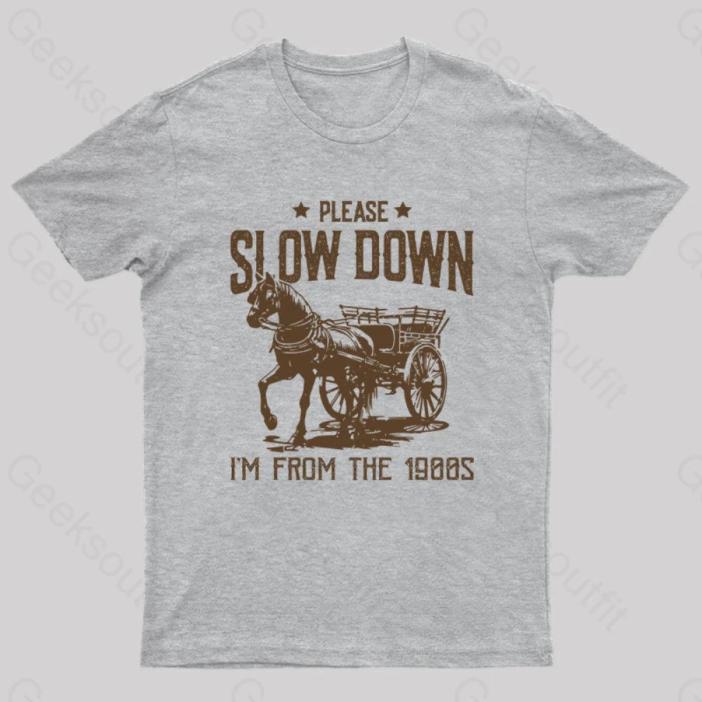 Please Slow Down I‘m From The 1900S T-Shirt Grey / S