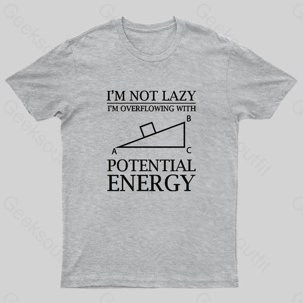Potential Energy Nerd T-Shirt Grey / S
