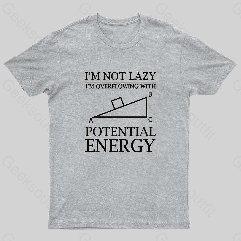 Potential Energy Nerd T-Shirt Grey / S