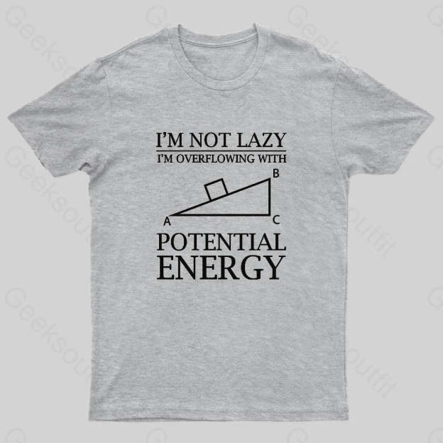 Potential Energy Nerd T-Shirt Grey / S