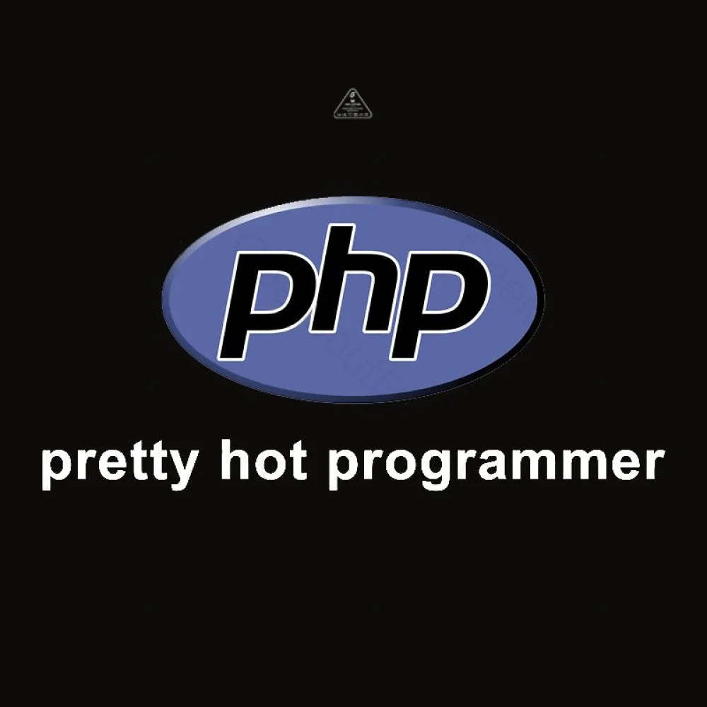 Pretty Hot Programmer T-Shirt - Geeksoutfit