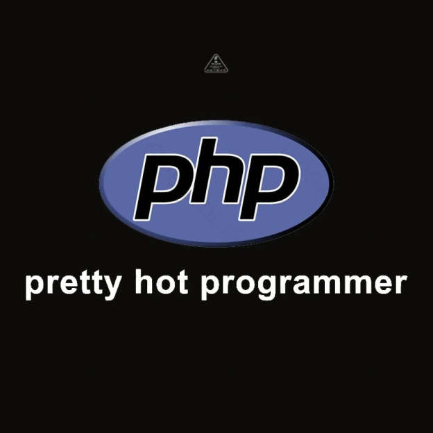 Pretty Hot Programmer T-Shirt - Geeksoutfit