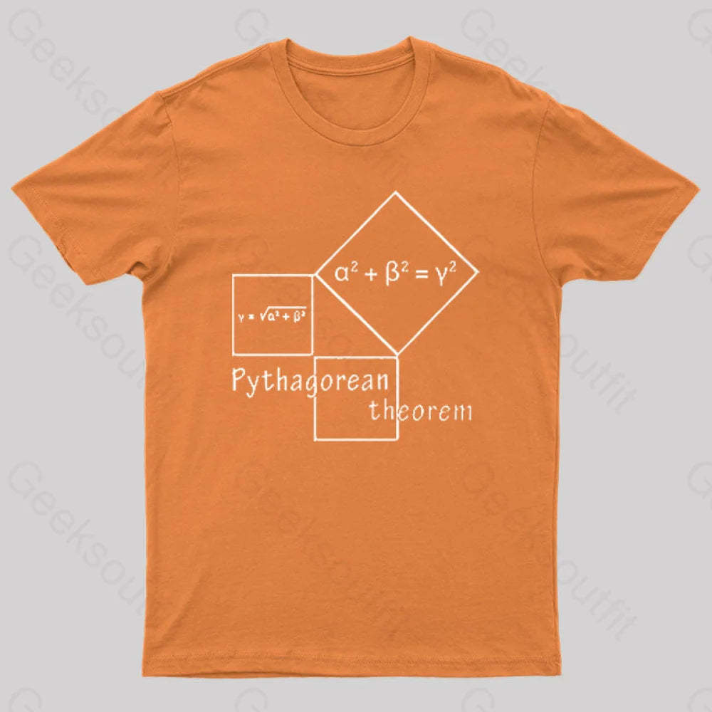Pythagorean Theorem Nerd T-Shirt Orange / S
