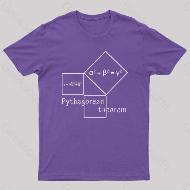 Pythagorean Theorem Nerd T-Shirt Purple / S