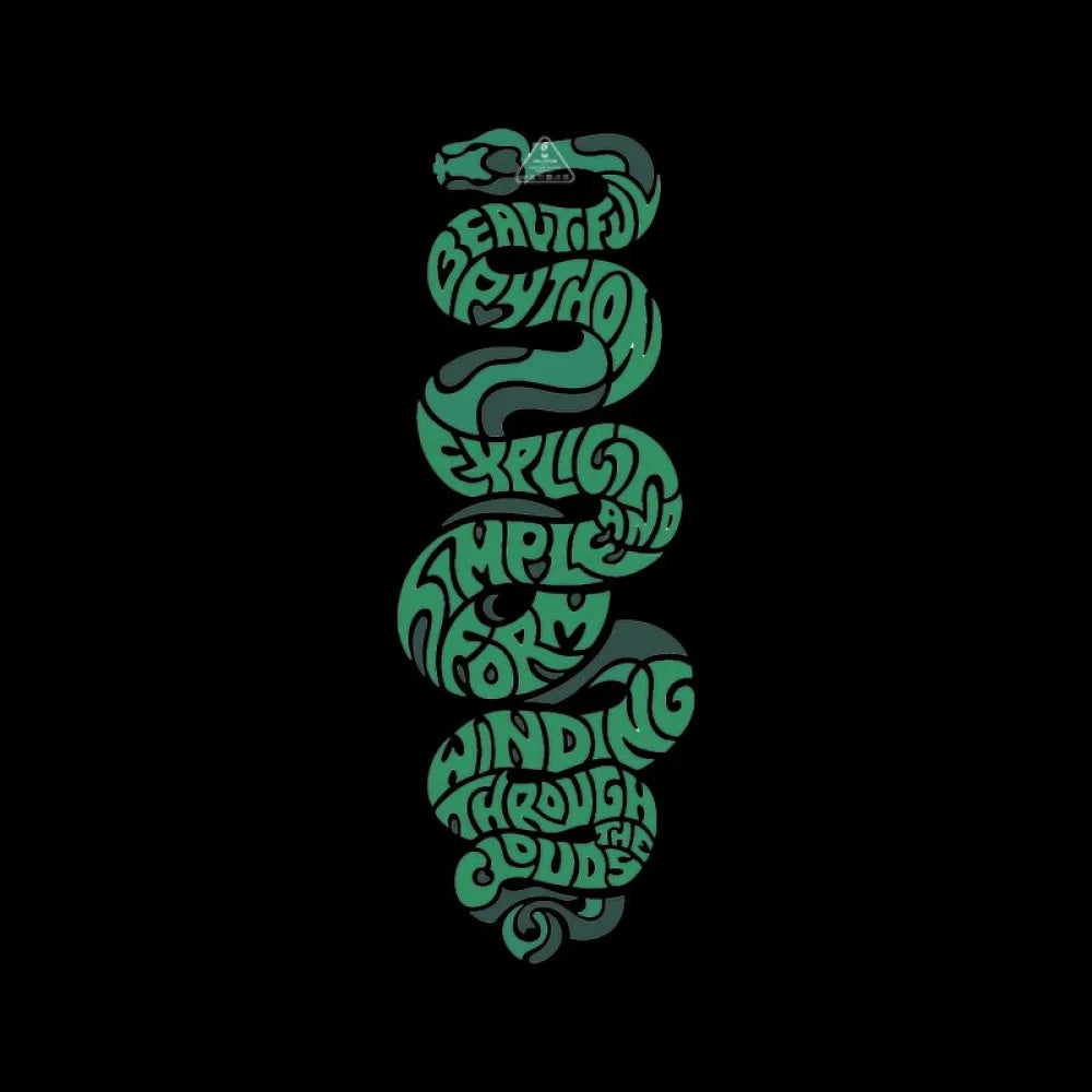 python T-Shirt - Geeksoutfit