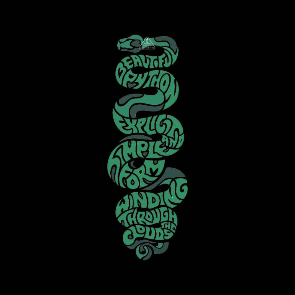 python T-Shirt - Geeksoutfit