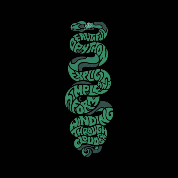 python T-Shirt - Geeksoutfit