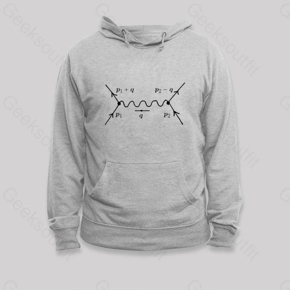 Quantum Field Theory And Particle Physics Hoodie Grey / S