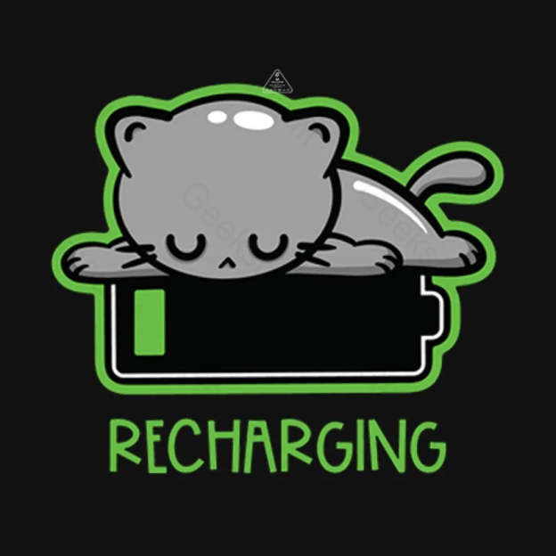 Recharging Cat T-Shirt - Geeksoutfit