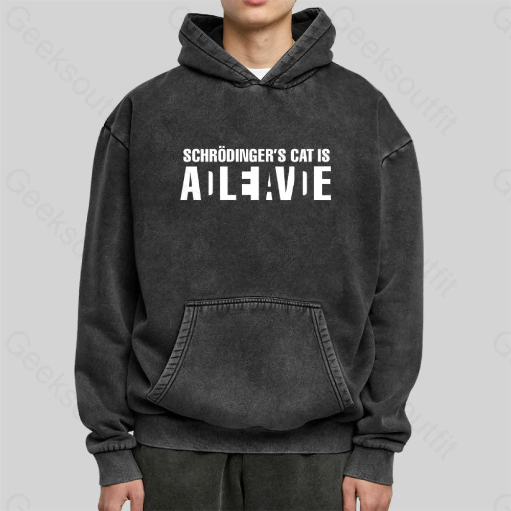 Schr?Dinger¡¯s Cat Adleiavde Washed Hoodie