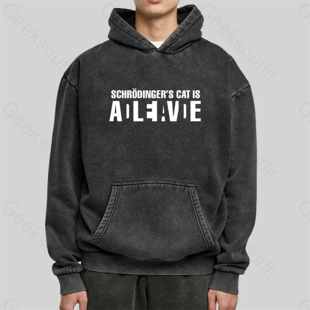 Schr?Dinger¡¯s Cat Adleiavde Washed Hoodie